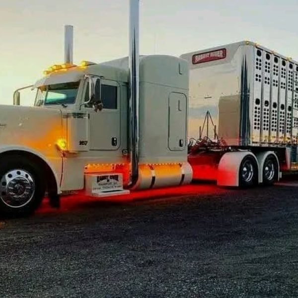 Large car carrier truck with multiple vehicle slots at sunset.
