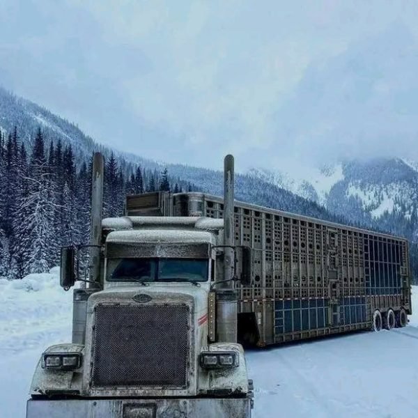Large semi-truck on snow-covered road in mountainous winter scenery.